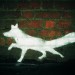 foxbandw