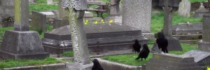 Some graves, yesterday.
