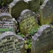 cemetery