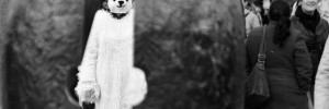 disturbingpanda