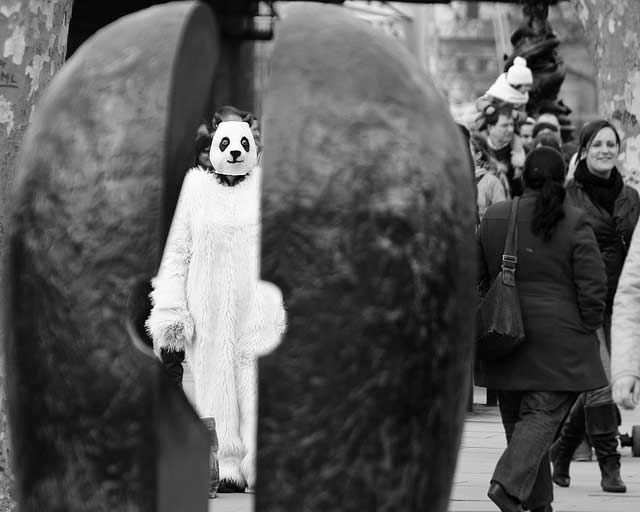 disturbingpanda