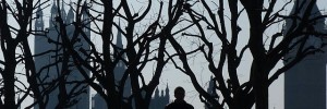 palace_of_westminster_behind_trees