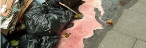 rubbishbyzefrog