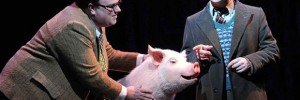 Jack Edwards (Henry Allardyce) and Reece Shearsmith (Gilbert Chilvers) with the animatronic pig in Betty Blue Eyes