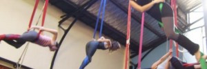 Flying Fantastic
