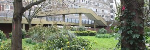 The Heygate Estate, a modern Secret Garden?