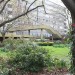 The Heygate Estate, a modern Secret Garden?