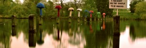 nagelhydepark