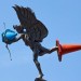 shaftesbury_memorial_eros_cones