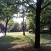 westwaygarden
