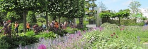 B&Q garden