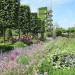 B&Q garden