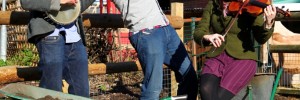 On_Spitalfields_Farm_-_musicians__photo_credit_Alys_Tomlinson-CROPPED1