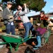On_Spitalfields_Farm_-_musicians__photo_credit_Alys_Tomlinson-CROPPED1