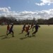 Selhurst Astro Turf