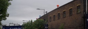 camdenmushroom2