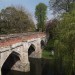 elthammoat