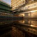 puddle