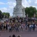 queenflashmob