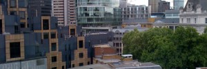 IMG_1195