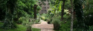 The Phoenix Garden, Open Garden Squares Weekend 2010 by Ian Visits