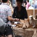 Taken at Marylebone Summer Fayre 2010 by Jamie McK