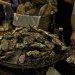 Mounds upon mounds of oysters at last night's launch of Bistro du Vin in Soho