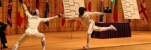 OlyFence01a