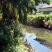 Pymmes Brook at the entrance to Arnos Park from Arnos Grove