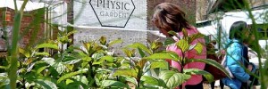 Visit the Urban Physic Garden on Union Street, SE1. Image by mmbrooke08 via the Londonist Flickr poo