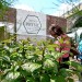 Visit the Urban Physic Garden on Union Street, SE1. Image by mmbrooke08 via the Londonist Flickr poo