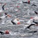 Triathletes swim in Royal Victoria Dock - image/Simon Kimber