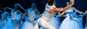 Guangdong's Swan Lake