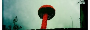 A Christiaan Nagel mushroom, outside Londonist Out Loud's studio.