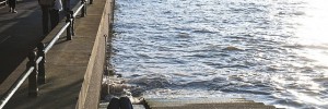 south_bank_steps_nap