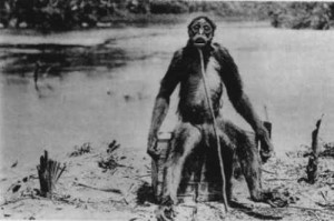 spidermonkey