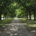 walpole Walpole Park by Phil4 via the Londonist Flickrpool