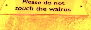 walruslabel