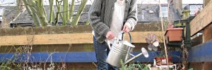 watering