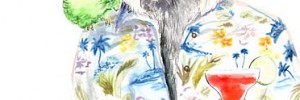 Crafty Fox artwork by Jimbobart