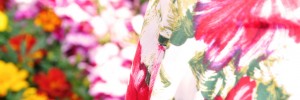 1108d.ee