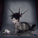 005_0095 1_640x503