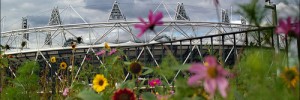 Olympic Stadium by Brian Lasky