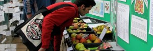 Apple Day at Roots and Shoots in 9 October