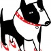 MainDogTransparent[1]
