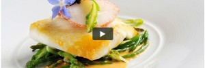 TimeOut Great British Chefs App2