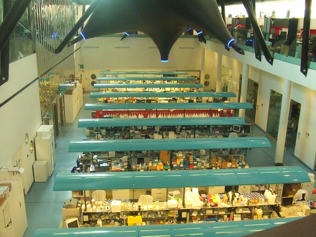 qmul