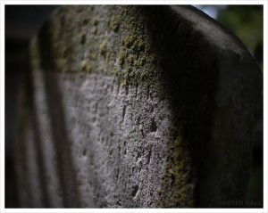 'Dappled' in St Mary's Church graveyard, Walthamstow by Peter Photographic