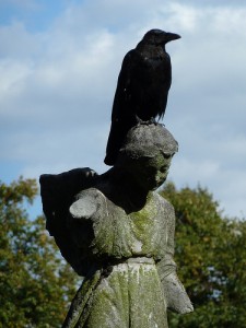 Crow, West Brompton Cemetery by victorianlondon