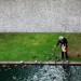 Feeding Time, Barbican by blogan1981